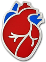 Pin Corazón Humano 🫀