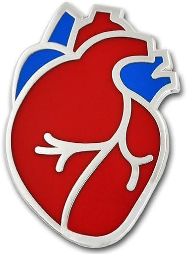Pin Corazón Humano 🫀